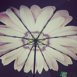 just mode是什么牌子？justmode摩登傘太陽傘怎么樣？