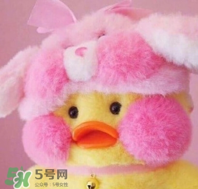 玻尿酸鴨是什么？cafemimi玻尿酸鴨為什么這么火