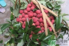 桂味和糯米糍哪個好吃？桂味荔枝和糯米糍荔枝區(qū)別