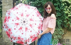 Kobold是假洋品牌么？Kobold是什么牌子是德國的嗎？