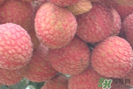 黑葉荔枝和白糖罌哪個(gè)好吃？黑葉荔枝和白糖罌區(qū)別