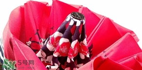 knirps是什么牌子？knirps太陽傘怎么樣？