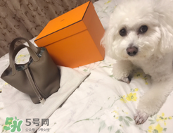 菜籃子包是什么牌子？菜籃子包是哪個(gè)品牌的？