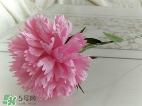 父親節(jié)可以送康乃馨嗎？父親節(jié)送康乃馨好不好？