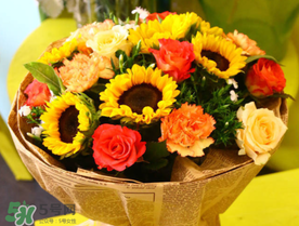 2017向日葵多少錢一朵？向日葵多少錢一支2017？
