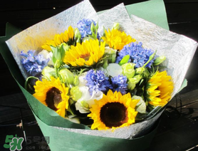 2017向日葵多少錢一朵？向日葵多少錢一支2017？