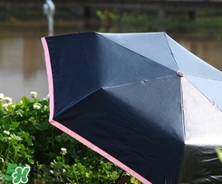 fasola是什么品牌？fasola太陽(yáng)傘怎么樣？