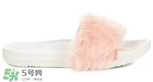 ugg royale小毛王拖鞋有哪幾種顏色？ugg小毛王拖鞋顏色有幾款？