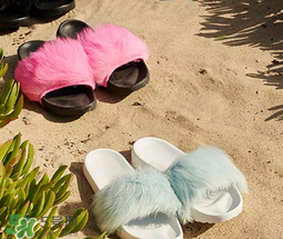 ugg royale小毛王拖鞋有哪幾種顏色？ugg小毛王拖鞋顏色有幾款？