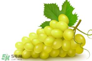 葡萄多少錢(qián)一斤？葡萄多少錢(qián)一斤2017？