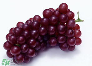 葡萄多少錢(qián)一斤？葡萄多少錢(qián)一斤2017？