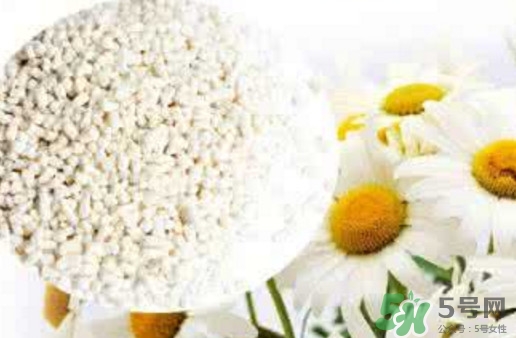 菊花晶是熱性還是涼性？菊花晶嬰兒可以喝嗎？