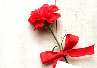 父親節(jié)可以送康乃馨嗎？父親節(jié)送康乃馨好不好？