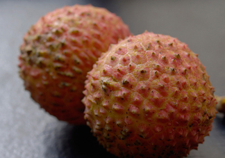 桂味荔枝和妃子笑哪個(gè)好吃？桂味荔枝和妃子笑區(qū)別