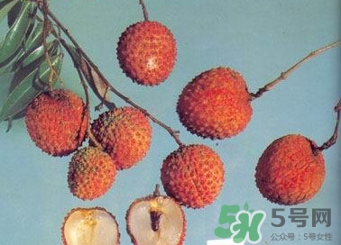 糯米糍荔枝產(chǎn)地是哪里？糯米糍荔枝上火嗎