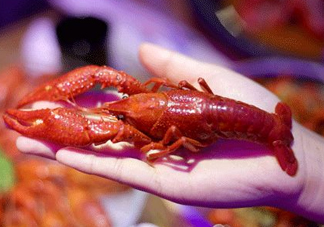 2017常州龍蝦節(jié)什么時(shí)候？2017常州龍蝦節(jié)在哪里？