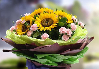 2017向日葵多少錢一朵？向日葵多少錢一支2017？