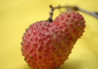 桂味荔枝多少錢一斤2017？桂味荔枝價(jià)格