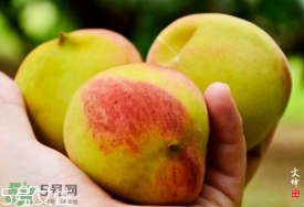 九仙桃什么時候成熟？九仙桃什么時候上市