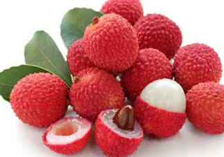 黑葉荔枝和白糖罌哪個好吃？黑葉荔枝和白糖罌區(qū)別