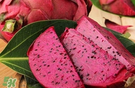 紅心火龍果為什么掉色？紅心火龍果為什么那么紅