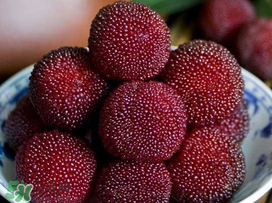 吃楊梅中毒是真的嗎？吃楊梅會中毒嗎？