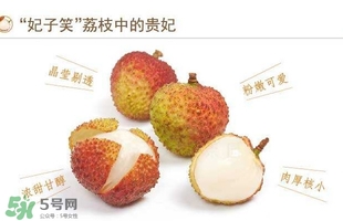 貴妃荔枝是哪里的？貴妃荔枝的產(chǎn)地是哪里