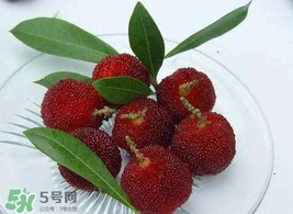 吃楊梅要洗嗎？楊梅要不要洗？