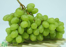 青提是涼性還是熱性？青提是酸性還是堿性？