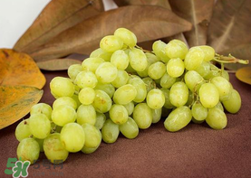 青提是涼性還是熱性？青提是酸性還是堿性？