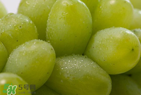 青提孕婦可以吃嗎？孕婦可以吃青提子嗎？