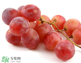 提子上的白色是什么？提子外面白色的是什么？