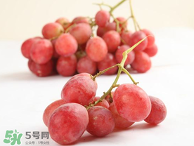 提子上的白色是什么？提子外面白色的是什么？