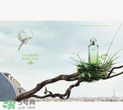 尼羅河花園適合什么人？尼羅河花園適合少女嗎？