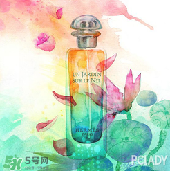 尼羅河花園適合什么人？尼羅河花園適合少女嗎？