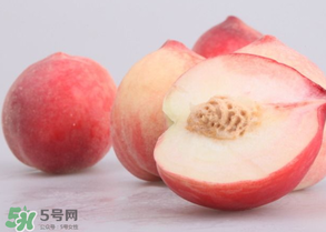 水蜜桃可以和酸奶一起吃嗎？水蜜桃酸奶的做法