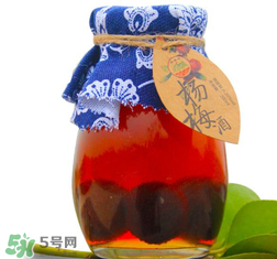 楊梅酒開(kāi)封后能存放多久？楊梅酒開(kāi)了能存放多久？