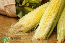 玉米須煮水可以去黃疸嗎？玉米須能去新生兒黃疸嗎