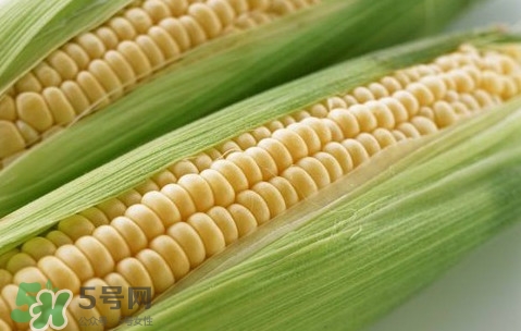 水果玉米熱量高嗎？一根水果玉米的熱量是多少