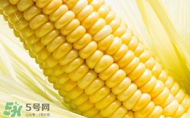 水果玉米是轉(zhuǎn)基因的嗎？水果玉米可以生吃嗎