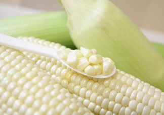糯玉米是轉(zhuǎn)基因嗎？糯玉米是不是轉(zhuǎn)基因