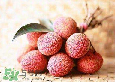 貴妃荔枝是哪里的？貴妃荔枝的產(chǎn)地是哪里