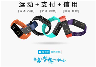 拉卡拉手環(huán)多少錢？拉卡拉手環(huán)價格