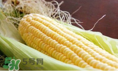 水果玉米是甜玉米嗎？水果玉米和甜玉米的區(qū)別