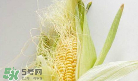 玉米須煮水可以去胎毒嗎？去胎毒玉米須水怎么煮