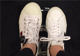 veja小白鞋多少錢？veja小白鞋專柜價格