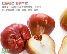 黑珍珠蓮霧多少錢一斤2017？黑珍珠蓮霧產(chǎn)地是哪里