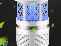 滅蚊燈可以滅蒼蠅嗎？滅蚊燈可以滅飛蛾嗎