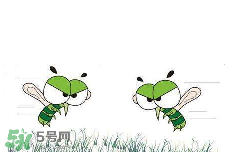 招蚊子是什么原因？招蚊子體質(zhì)怎么辦？