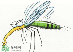 招蚊子是什么原因？招蚊子體質(zhì)怎么辦？